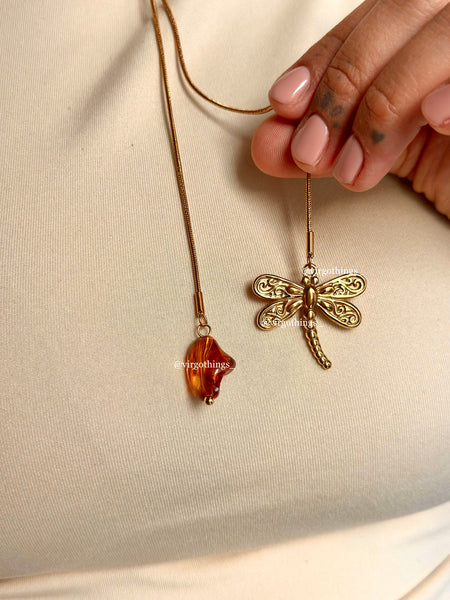 Dragonfly & tortoise stone