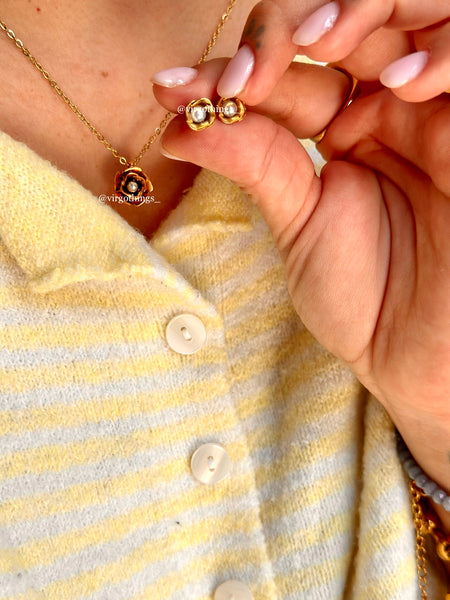ROSAS VIP