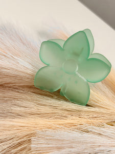 HAWAII VERDE